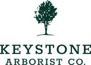 Keystone Arborist